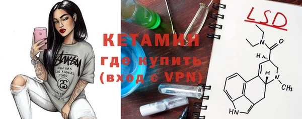 трава Аркадак