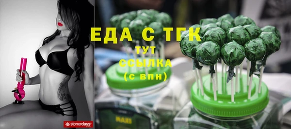 индика Армянск