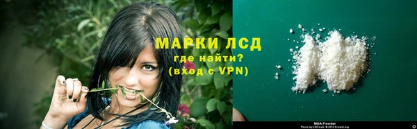 трава Аркадак