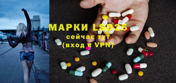 индика Армянск