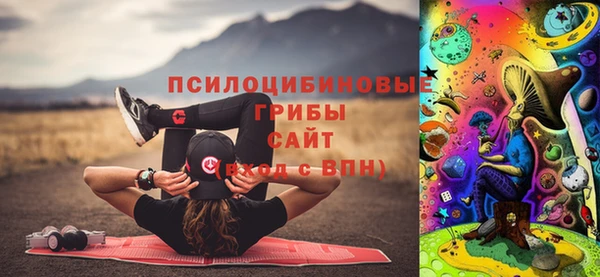 индика Армянск