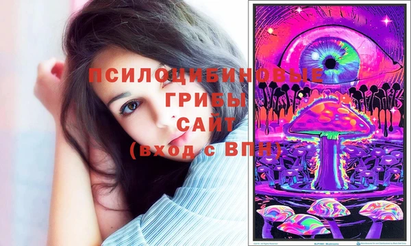 индика Армянск