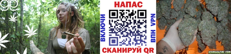 Бошки марихуана AK-47  darknet Telegram  Октябрьск 